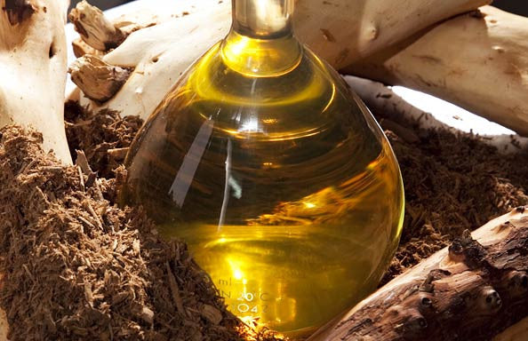 Sandalwood Oil Uses and Benefits
