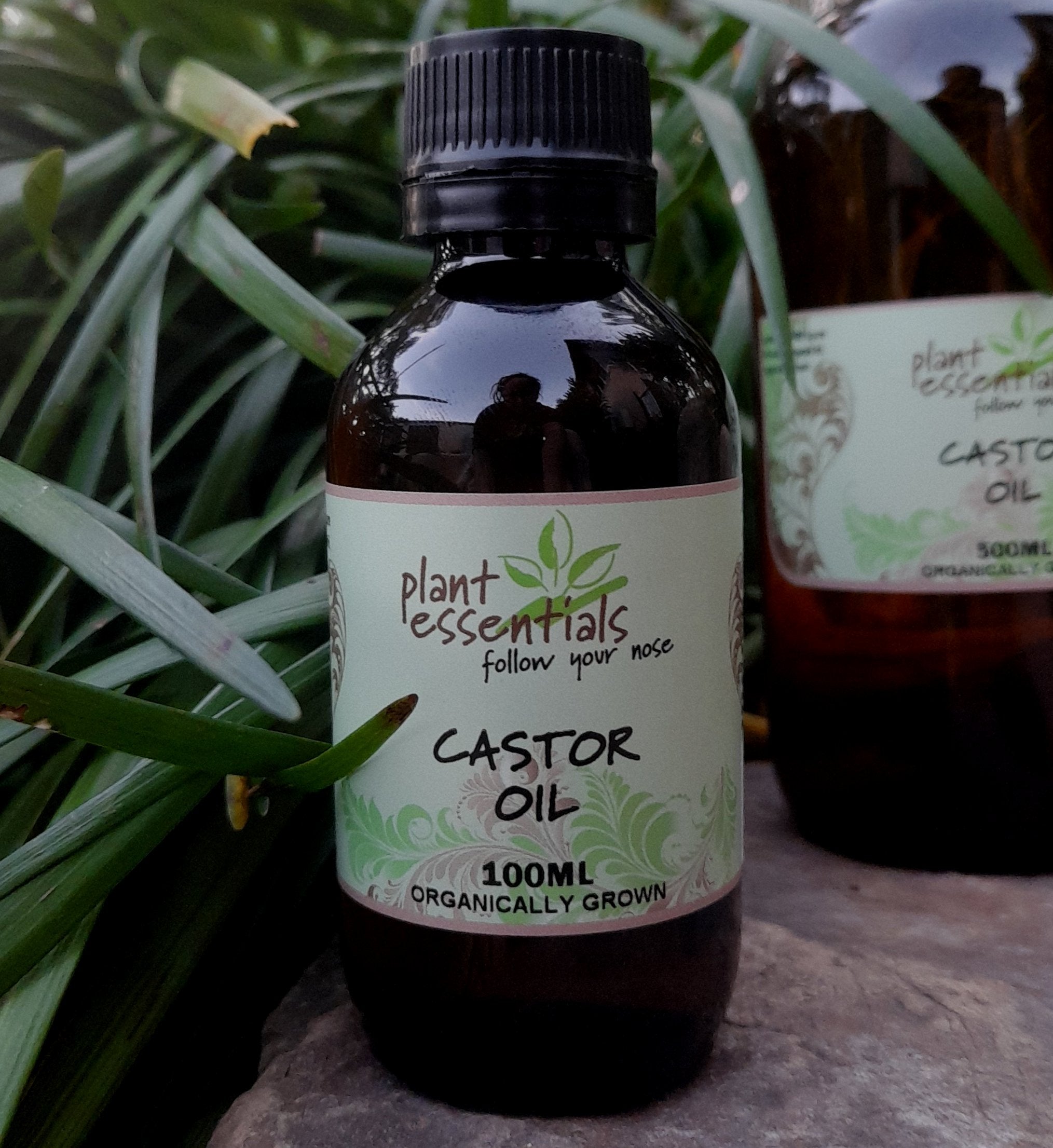 Castor Oil, hexane free, organically grown