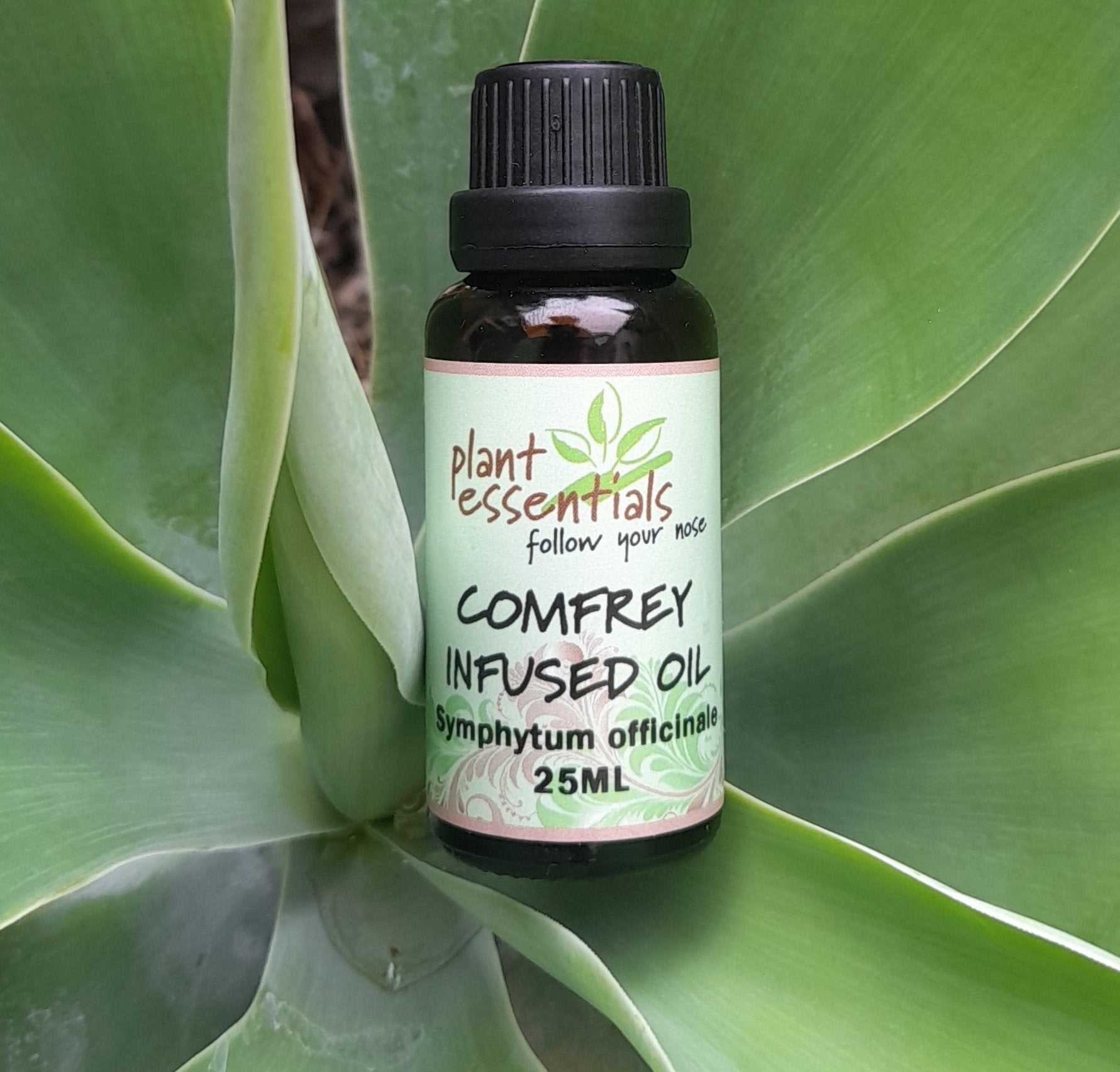 Comfrey Infused Oil 30ml