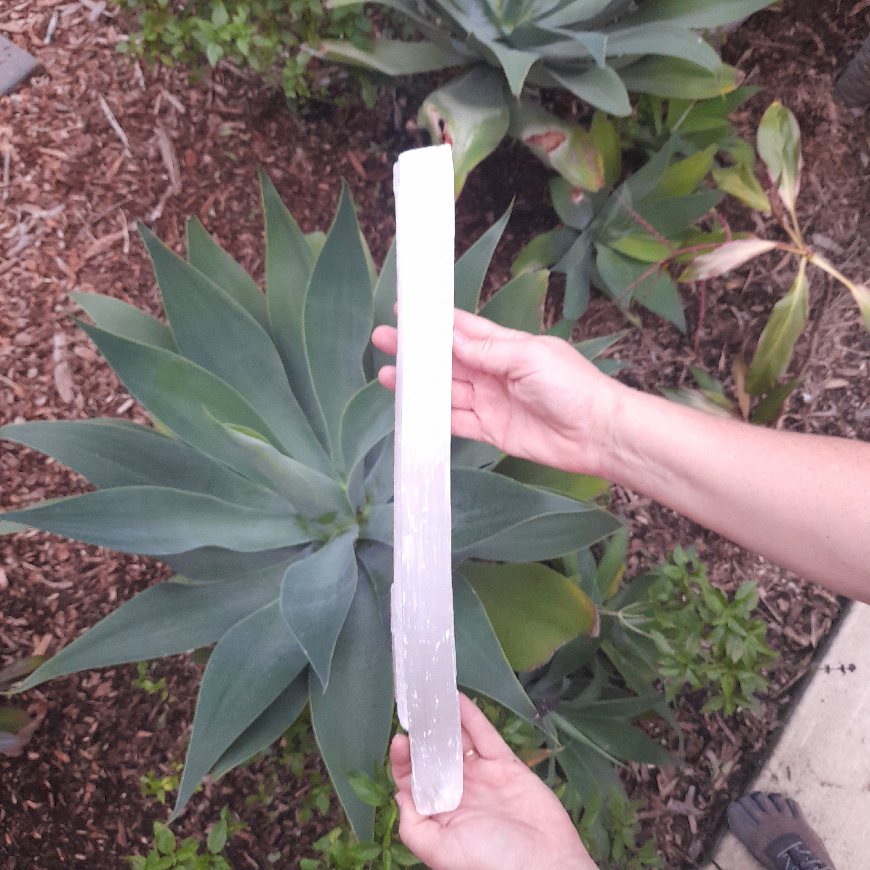 Satin Spar (sometimes confused with Selenite) ~ Natural Stick (each)