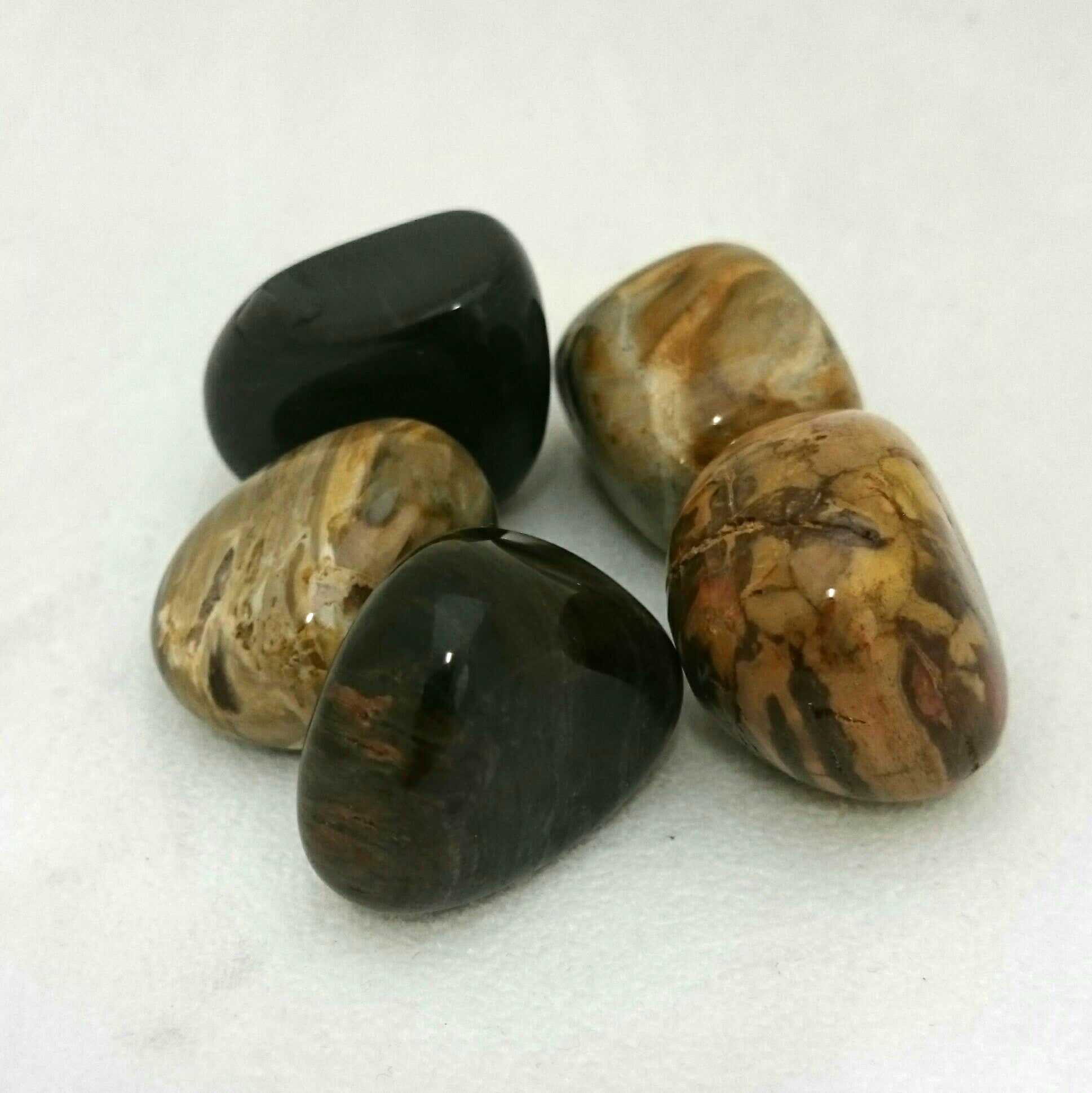 Petrified Wood ~ Tumbled stone (each)