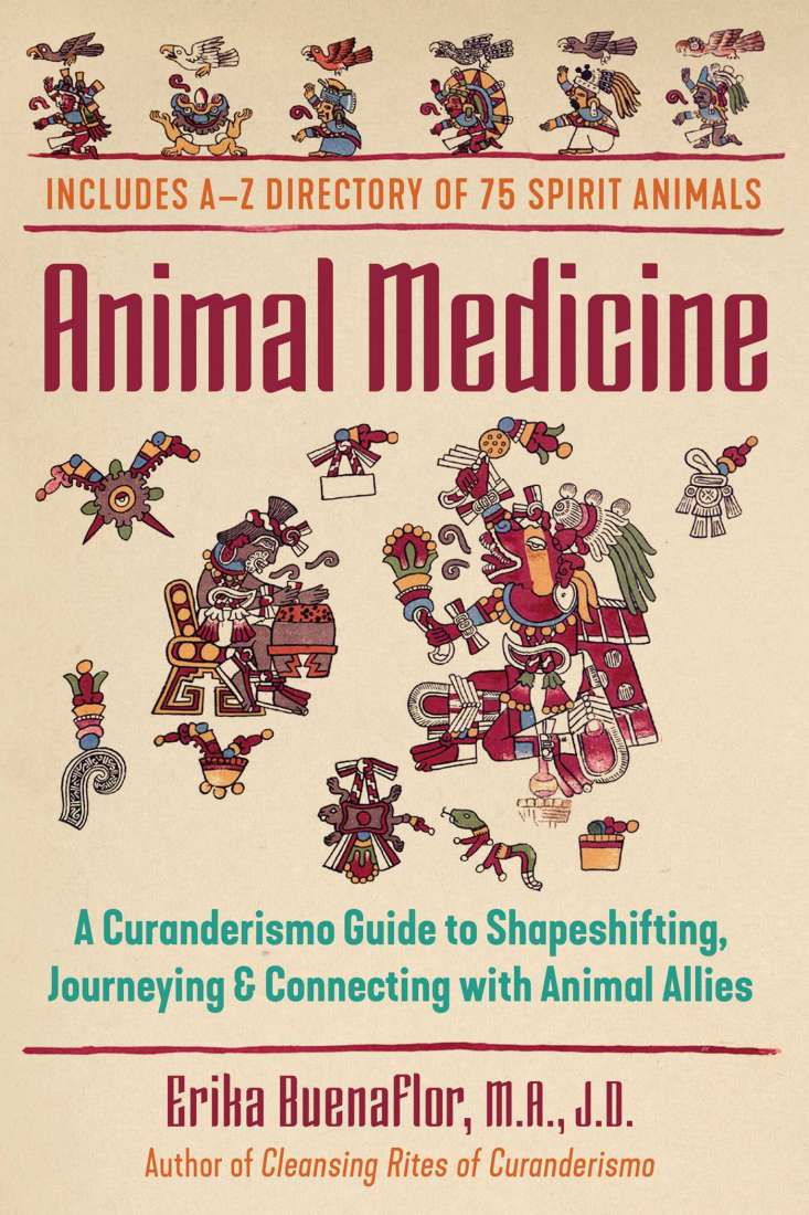 Animal Medicine, The Curanderismo Guide to Shapeshifting, Journeying & Connecting with Animal Allies