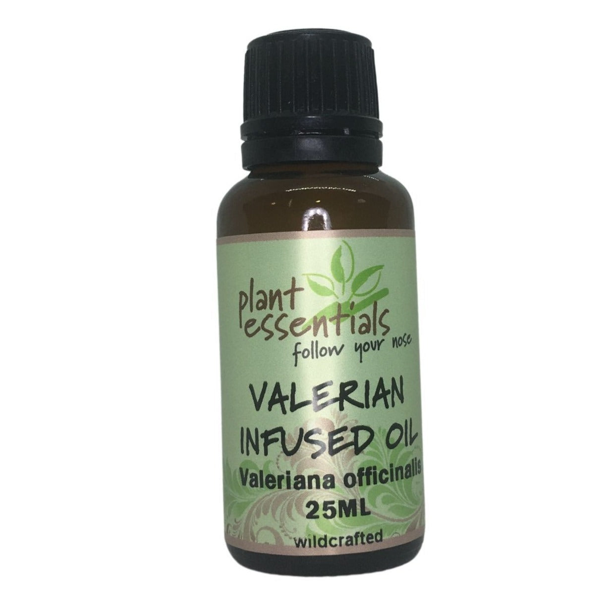 Valerian Infused Oil 25ml ~ Valeriana officinalis