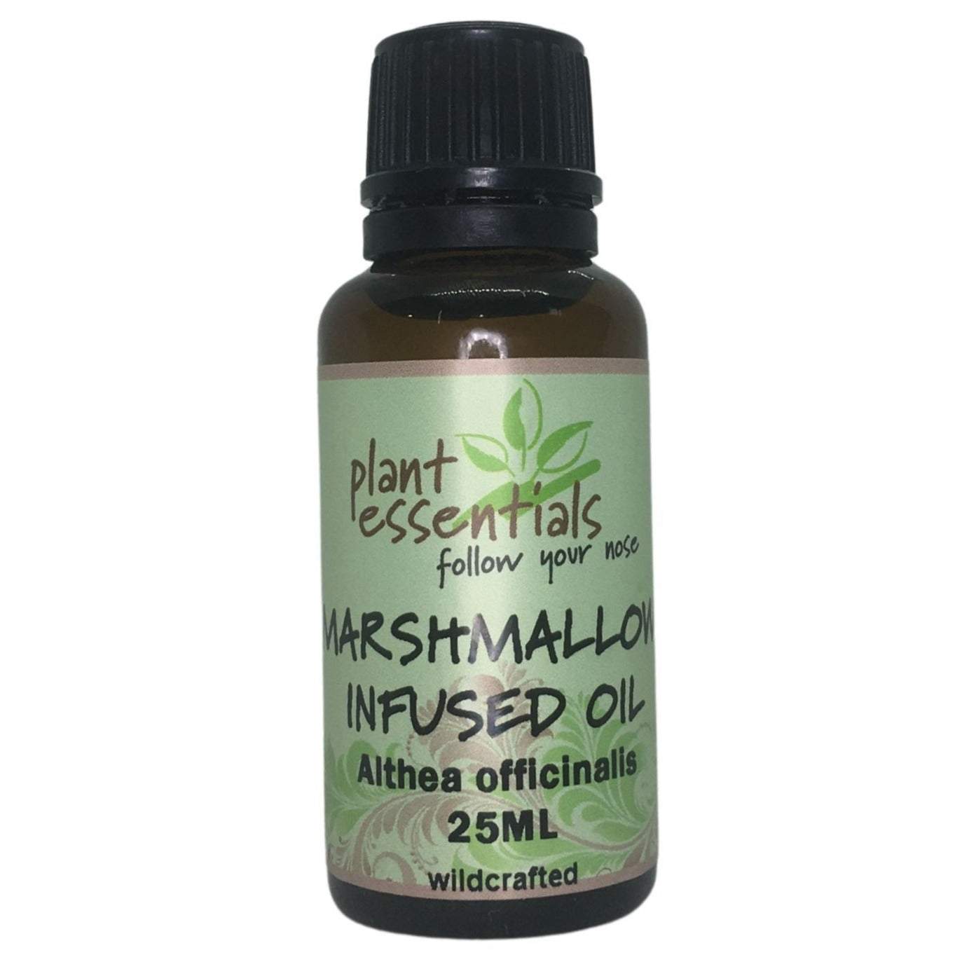 Marshmallow Infused Oil 30ml