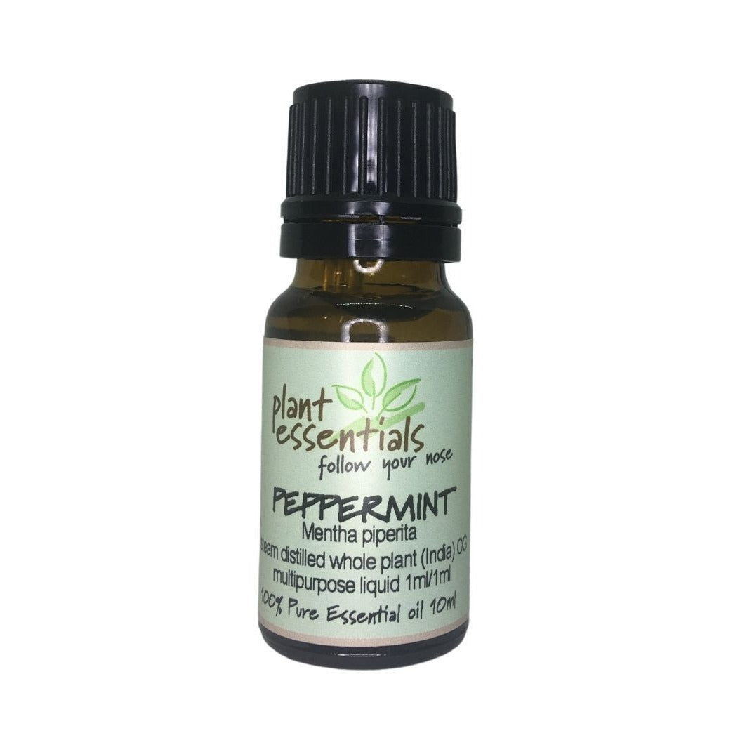 Peppermint Essential Oil, Mentha piperita