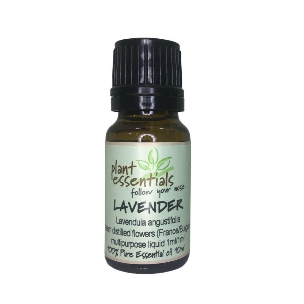 Lavender essential oil, Lavendula angustifolia