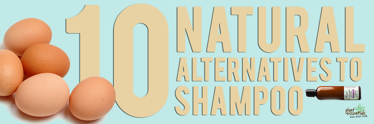 10 Natural Alternatives to Shampoo