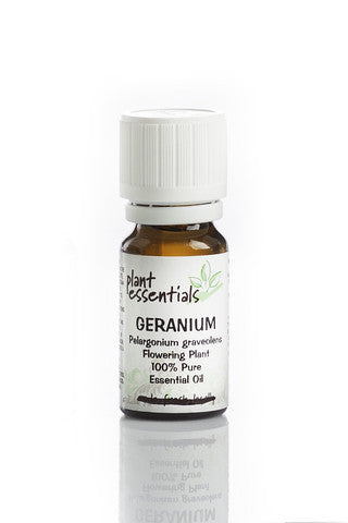 Explore The Health Benefits And Uses Of Geranium Essential Oil