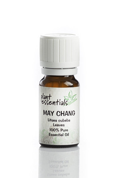 Exploring The Health Benefits And Uses Of May Chang Essential Oil