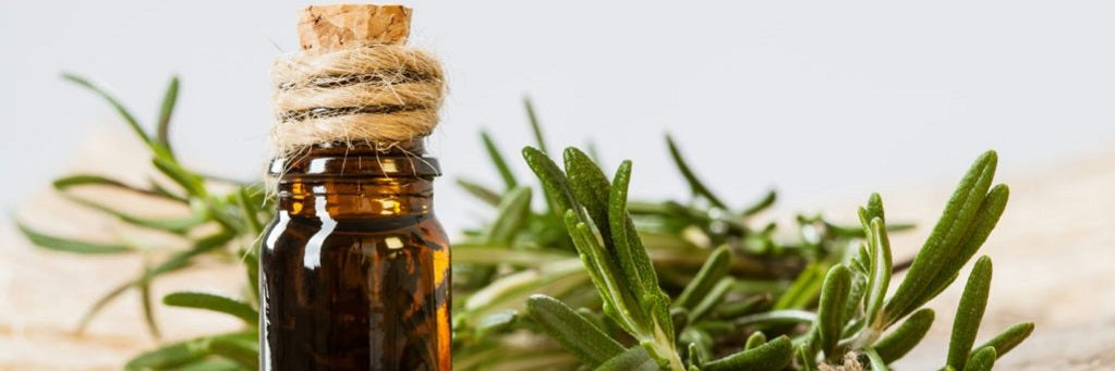 Health Benefits And Uses Of Four Thieves Blend Essential Oil