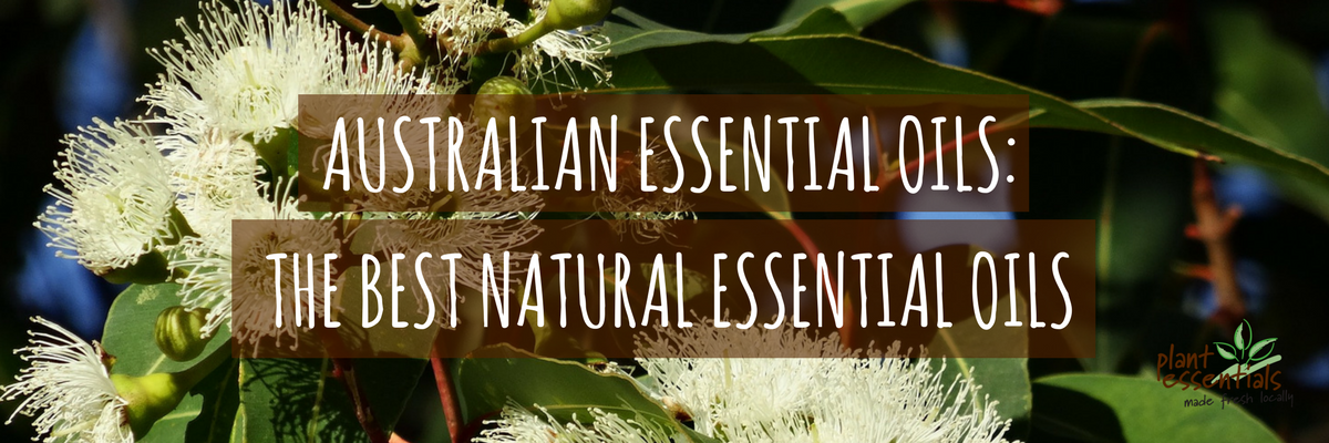 Australian Essential Oil: The best natural essential oils