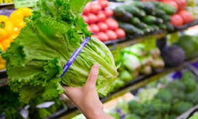 Ten Reasons to Eat Organic Foods