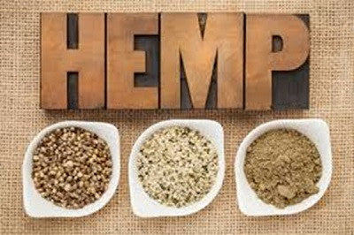 Health Benefits And Uses Of Hemp Oil