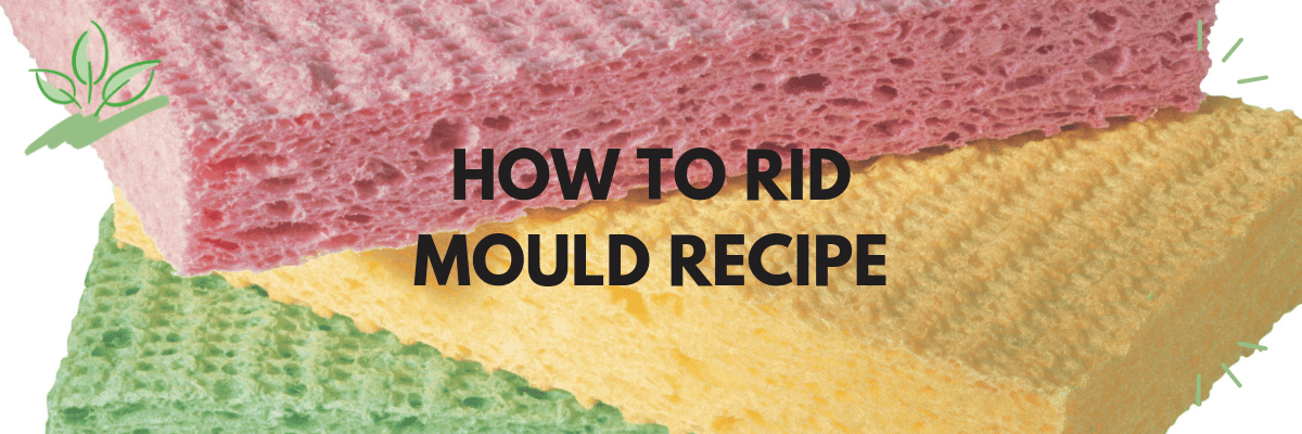 How to Rid Mould Recipe