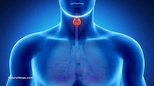 The Different Thyroid conditions detailed