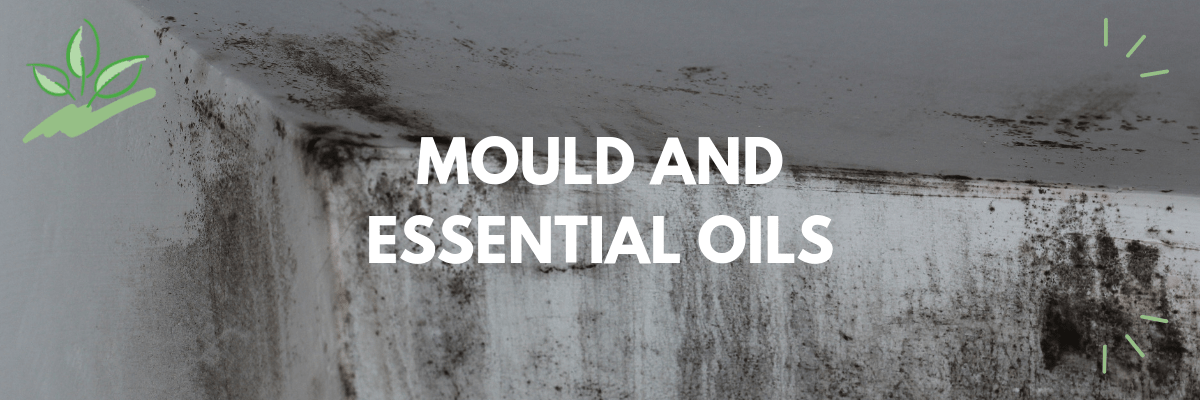 Mould and Essential Oils