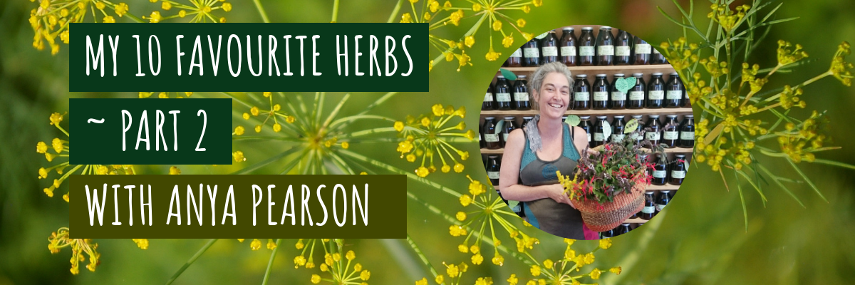 My 10 Favourite Herbs ~ part 2