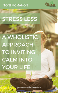 Stress Less - A Wholistic Approach To Inviting Calm Into Your Life eBook