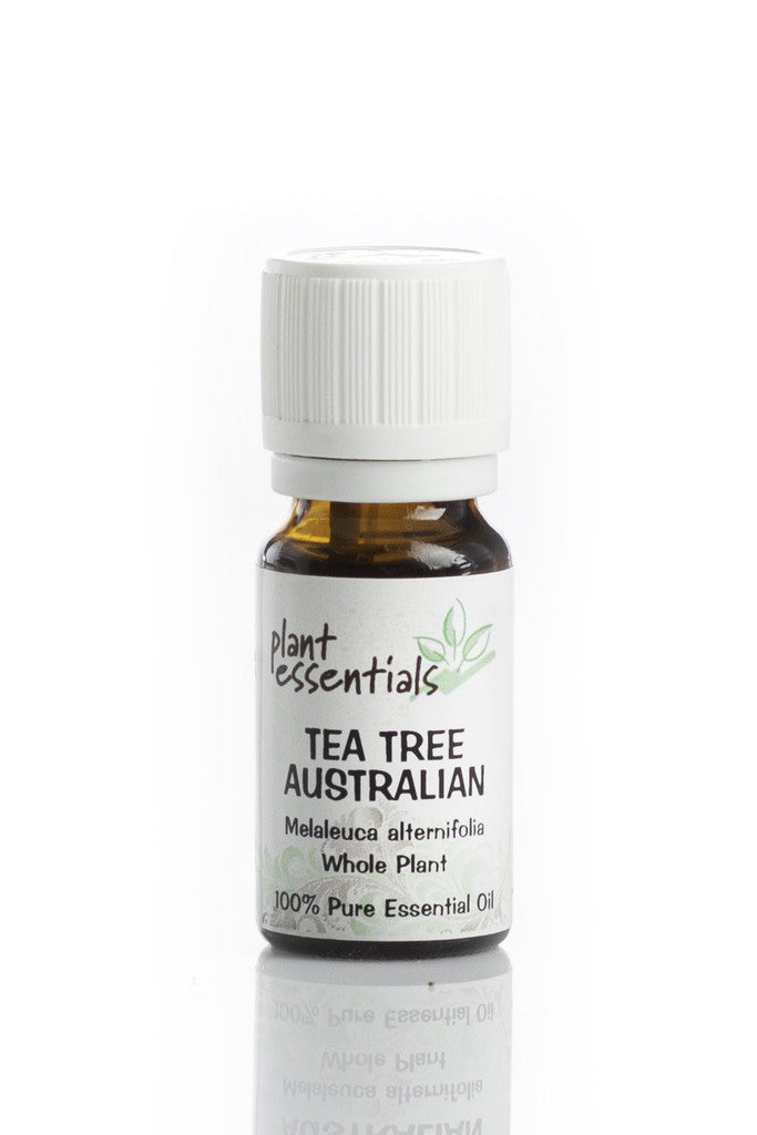 Health Benefits And Uses Of Tea Tree Essential Oil