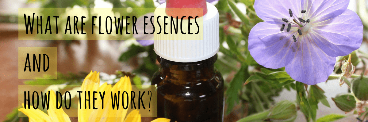 What Are Flower Essences And How Do They Work?