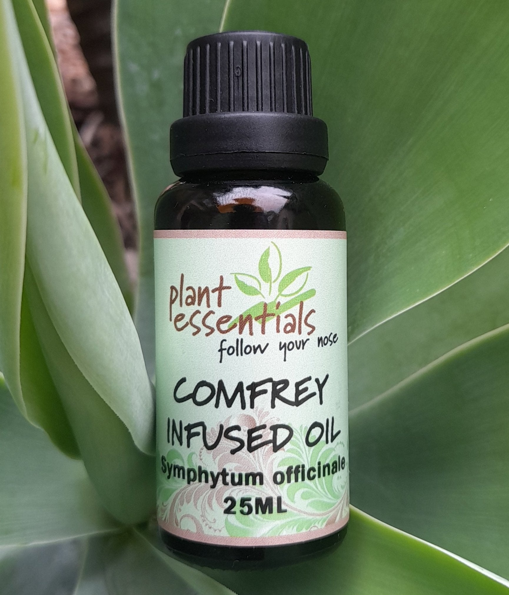 Comfrey Infused Oil 25ml