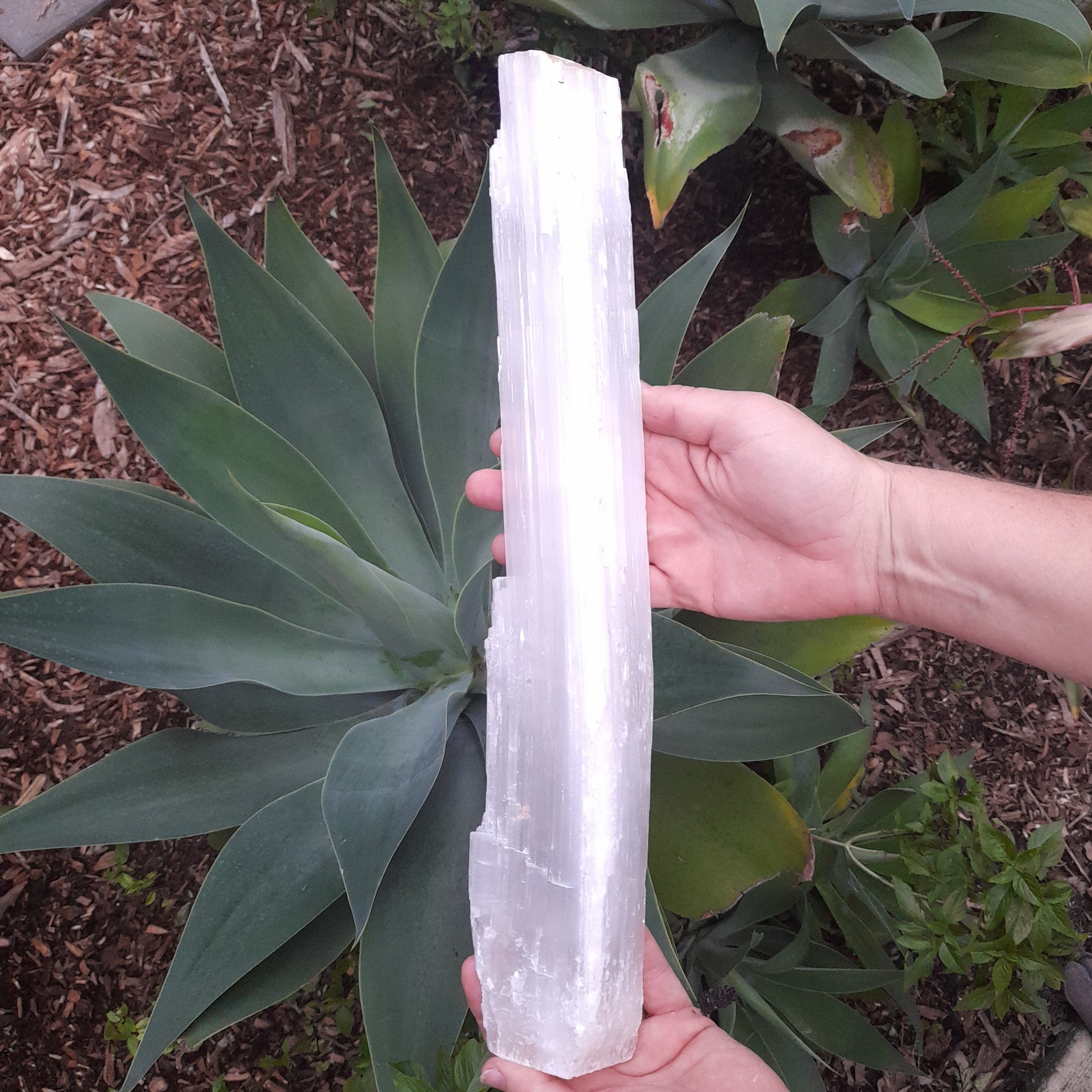 Satin Spar (sometimes confused with Selenite) ~ Natural Stick (each)