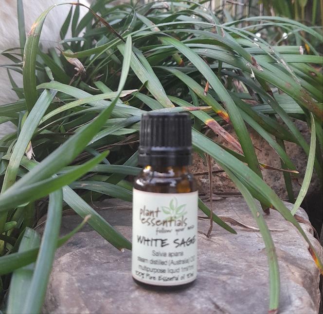 White Sage Essential Oil 4%
