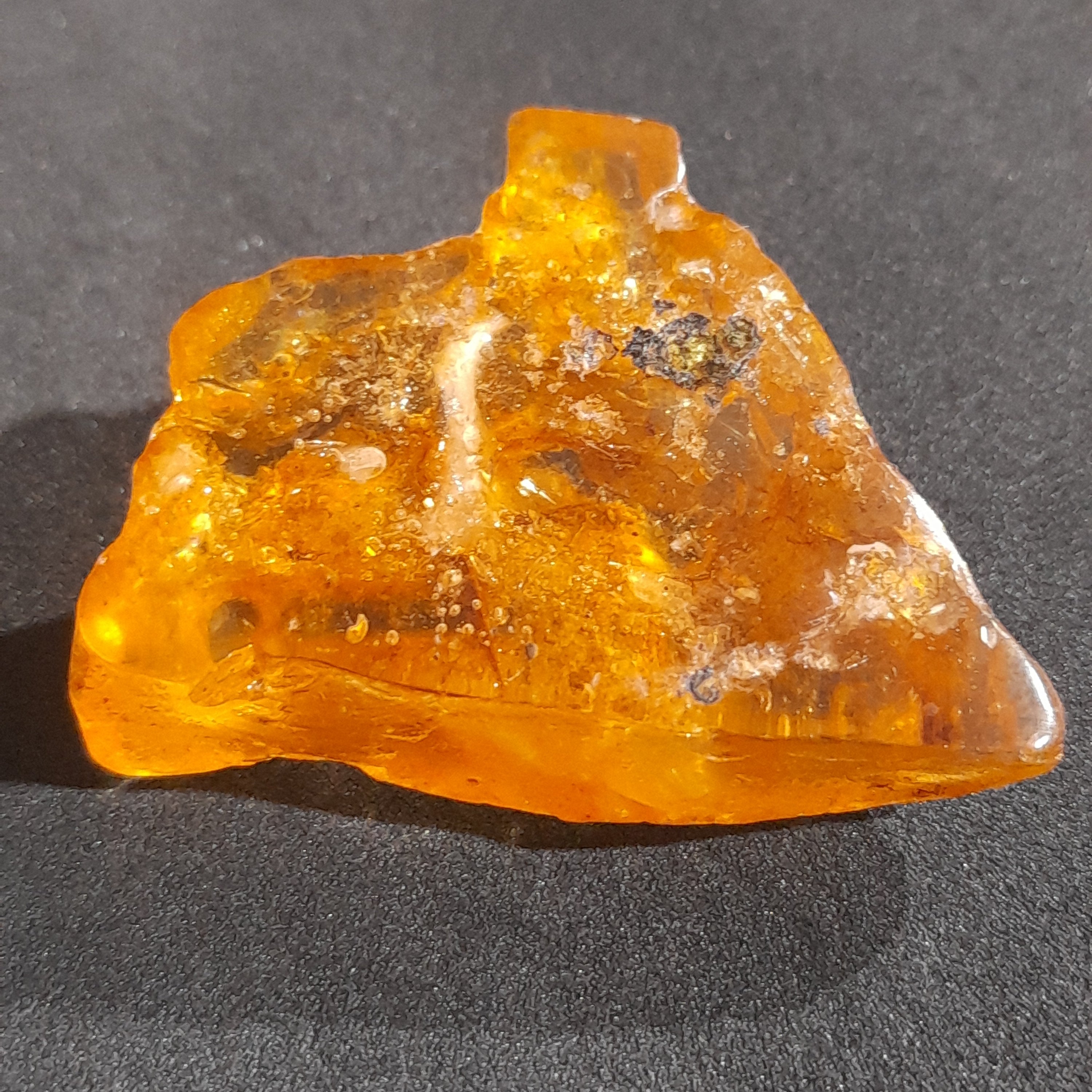 Copal/ Amber with insect and plant matter fossil inclusions