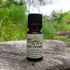 Thyme, Red Essential Oil