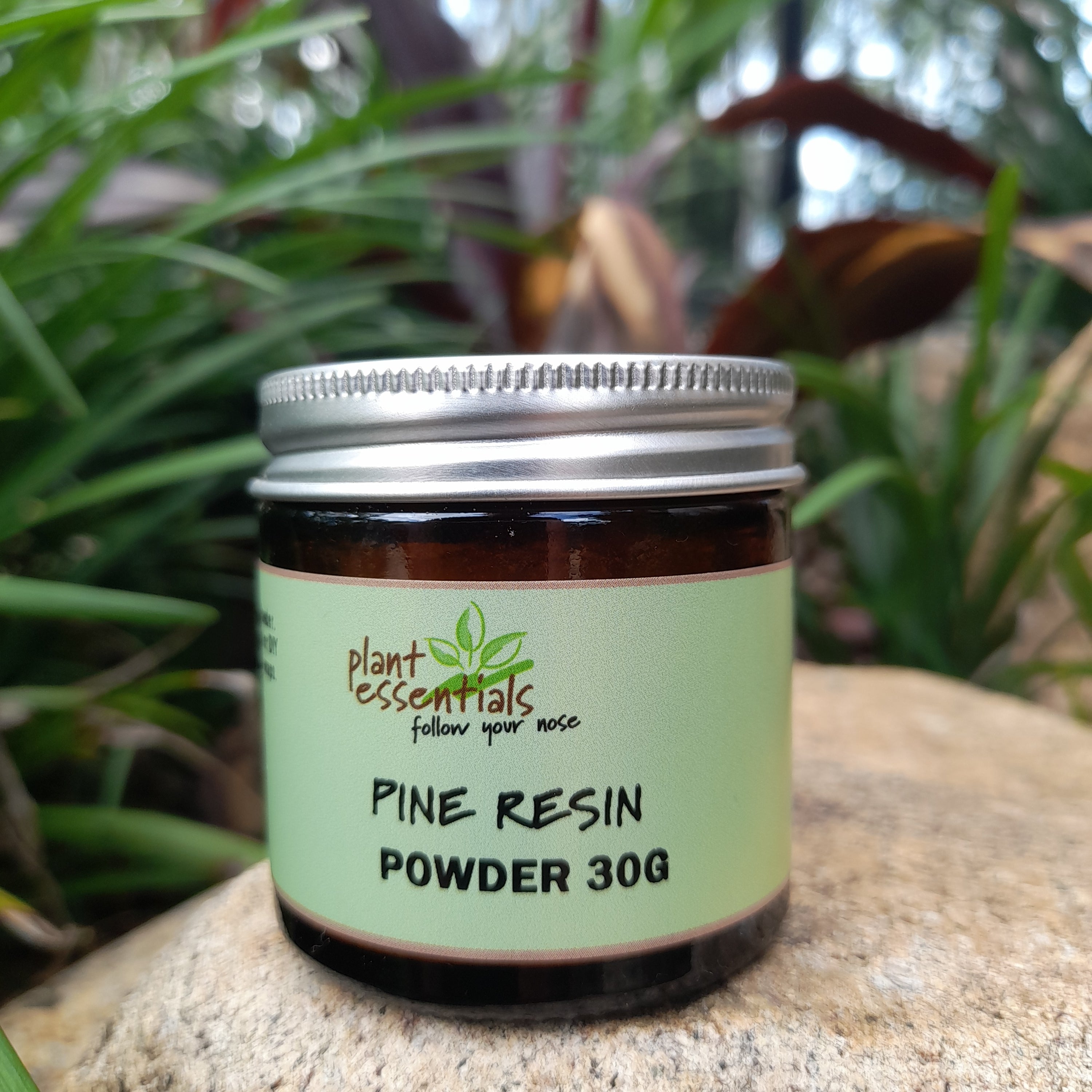 Pine Resin Powder