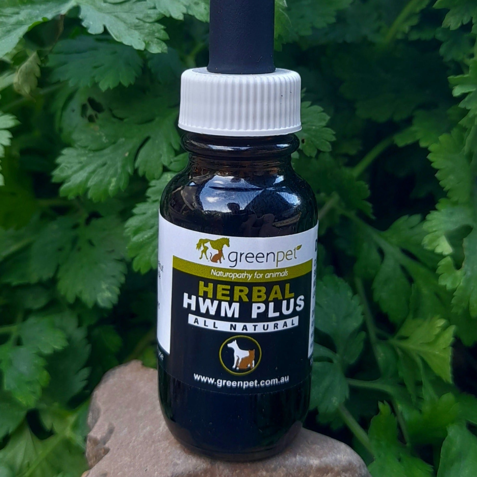 Greenpet Herbal Black Walnut Tonic (formerly HWM Plus) 25ml