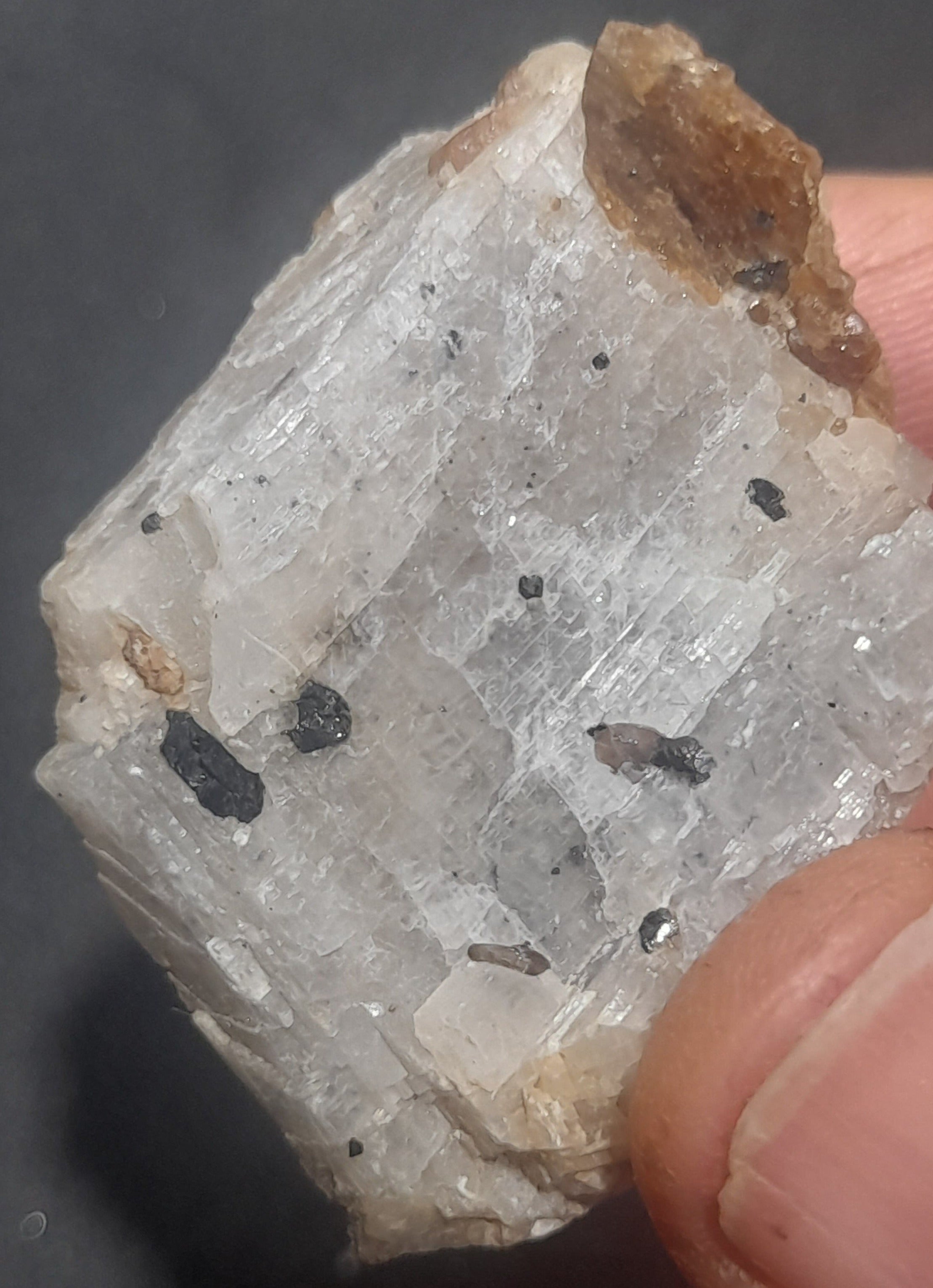 Bustamite crystals in Calcite