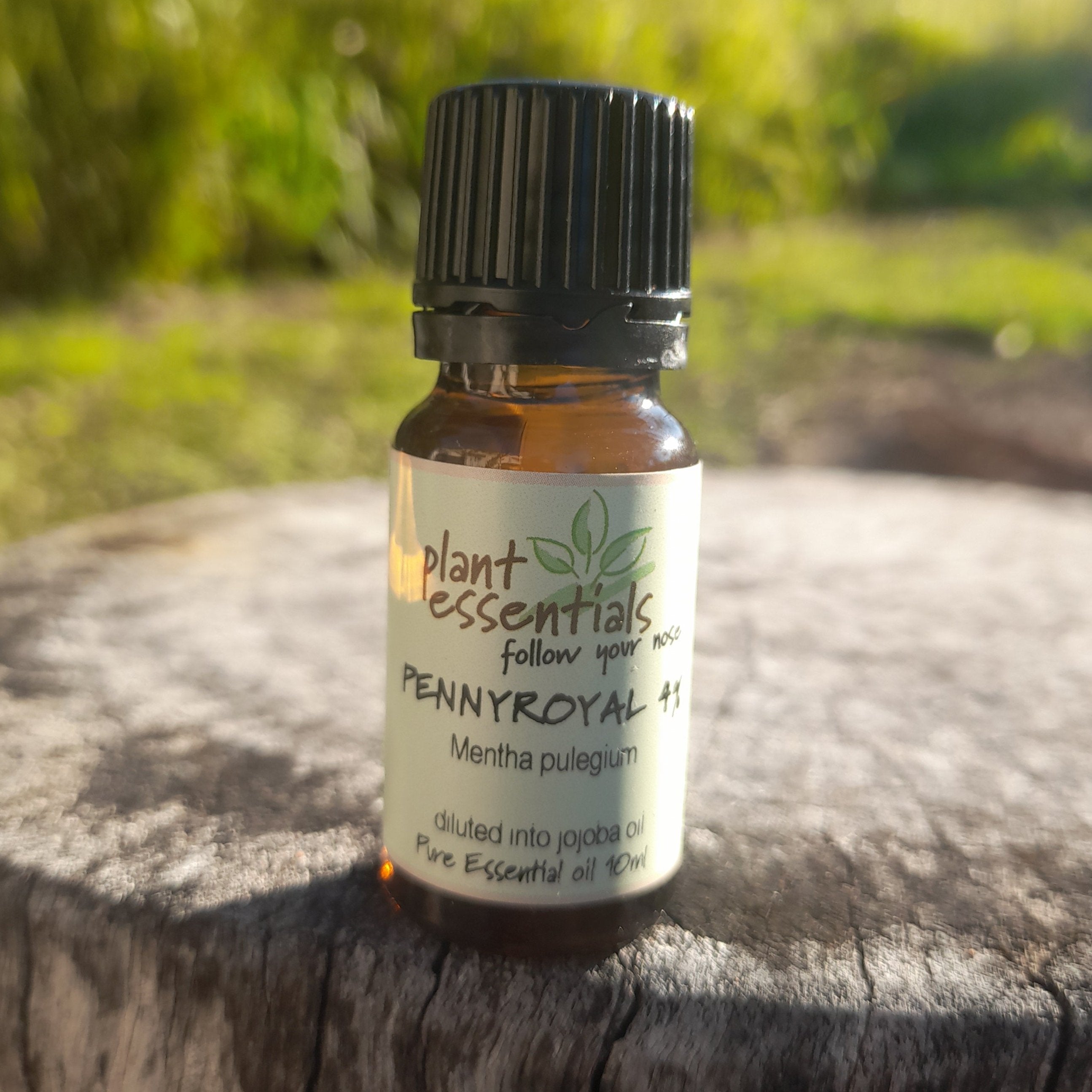 Pennyroyal Essential Oil 4% 10ml