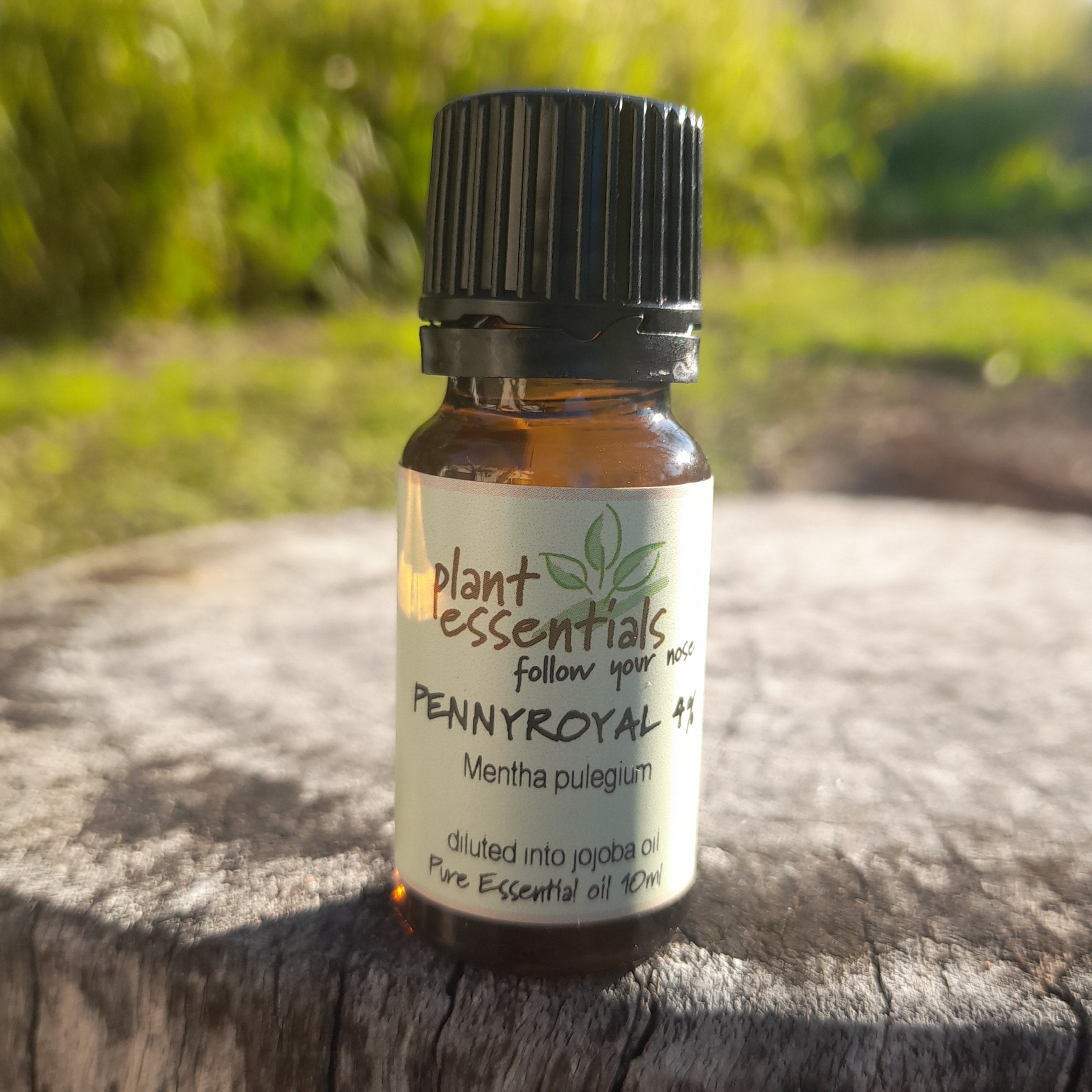 Pennyroyal Essential Oil 4% 10ml