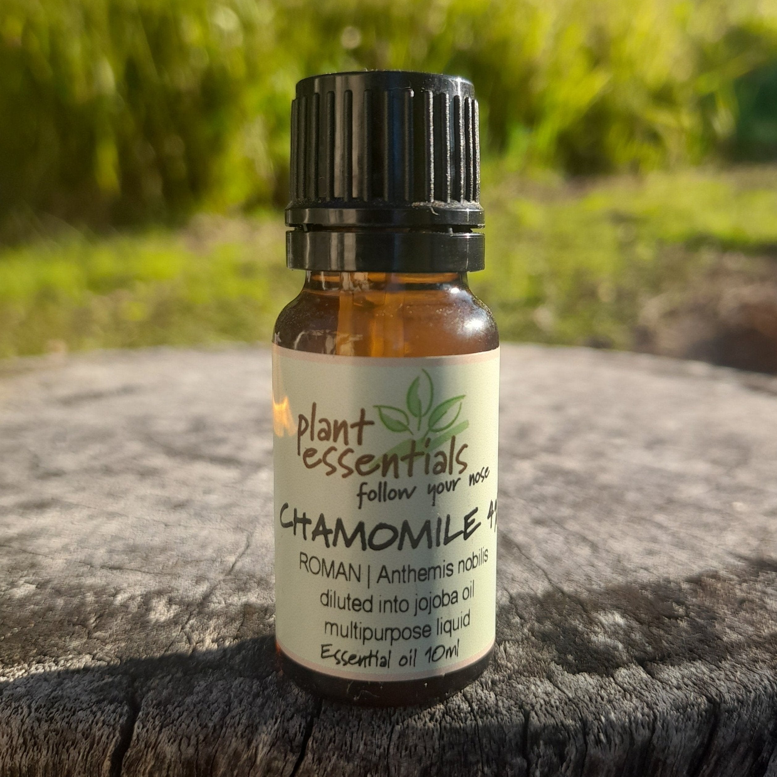 Chamomile, Roman Essential Oil 4%