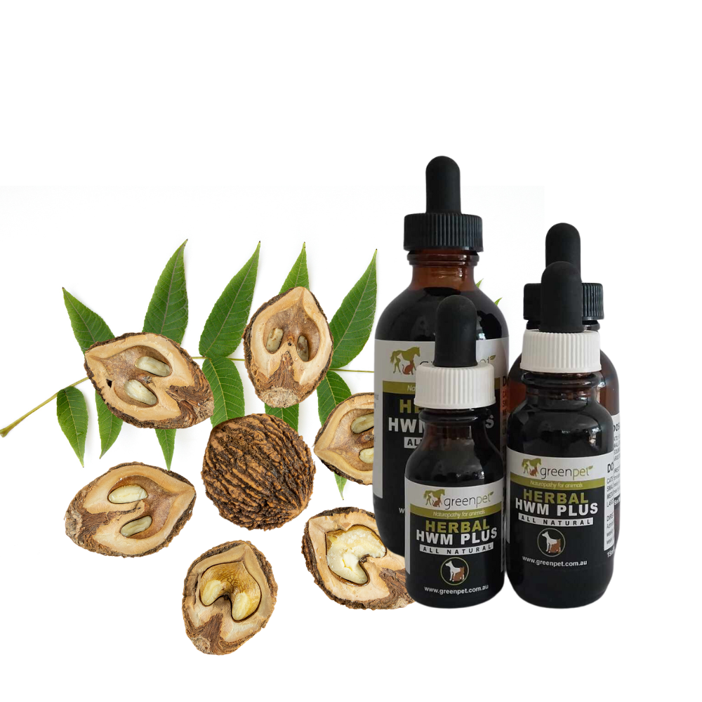 Greenpet Herbal Black Walnut Tonic (formerly HWM Plus) 25ml