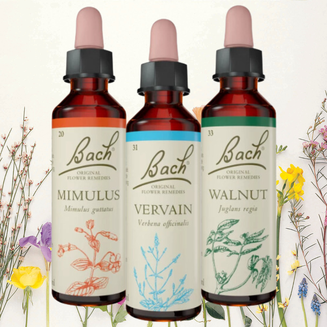 Bach Flower Stock bottle 20ml (special order)