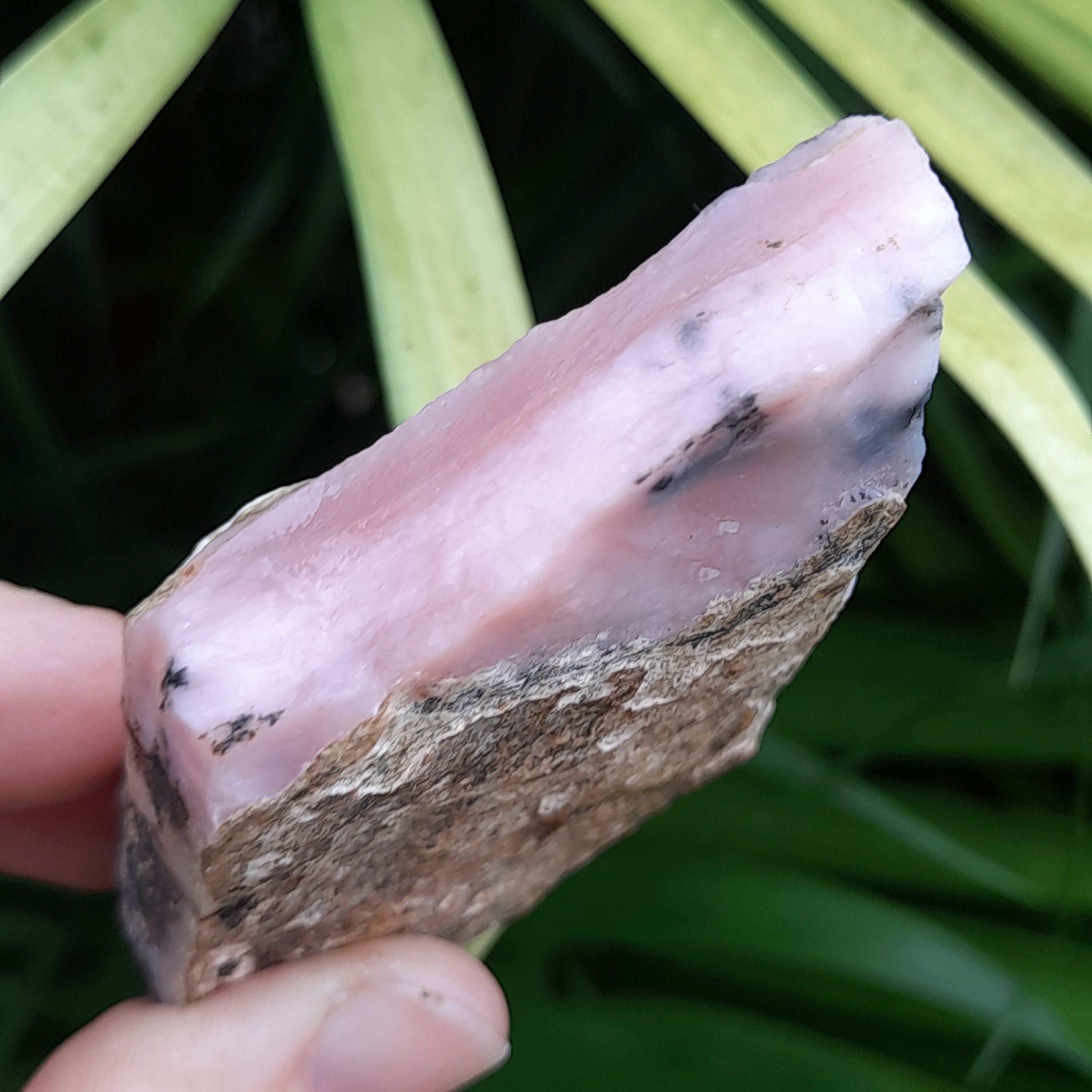 Pink Andean Opal ~ Raw