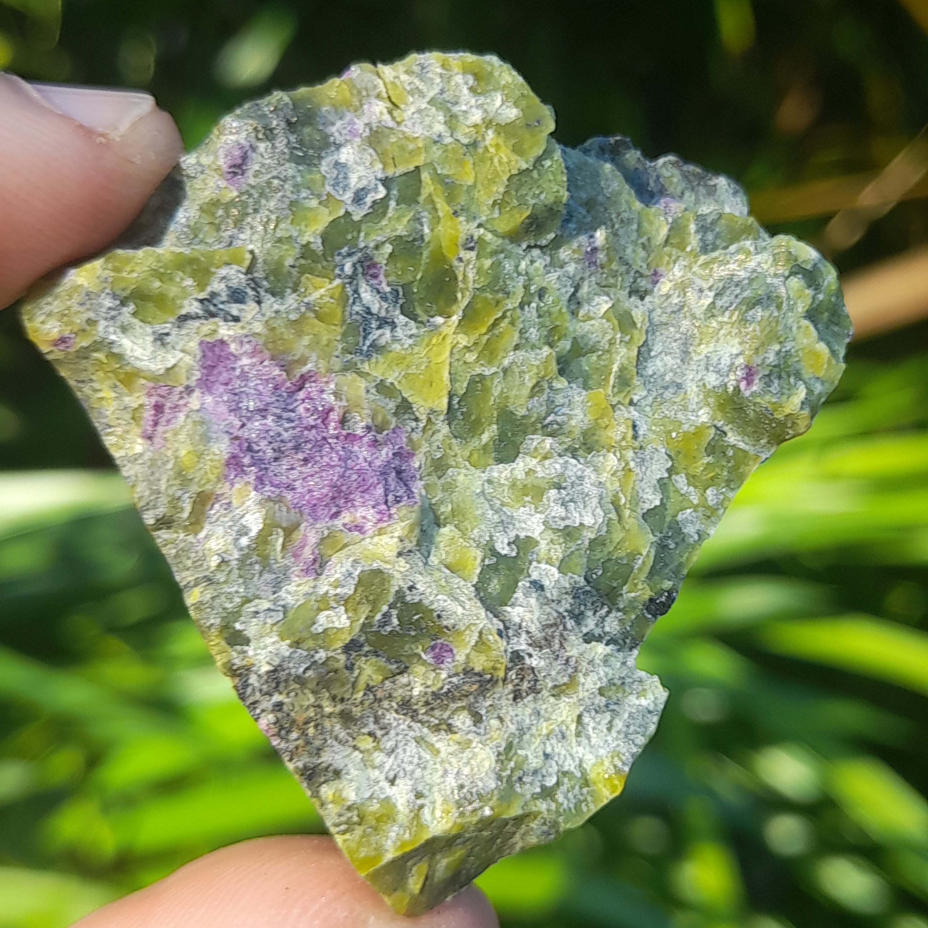 Stichtite in Serpentine (Atlantasite)