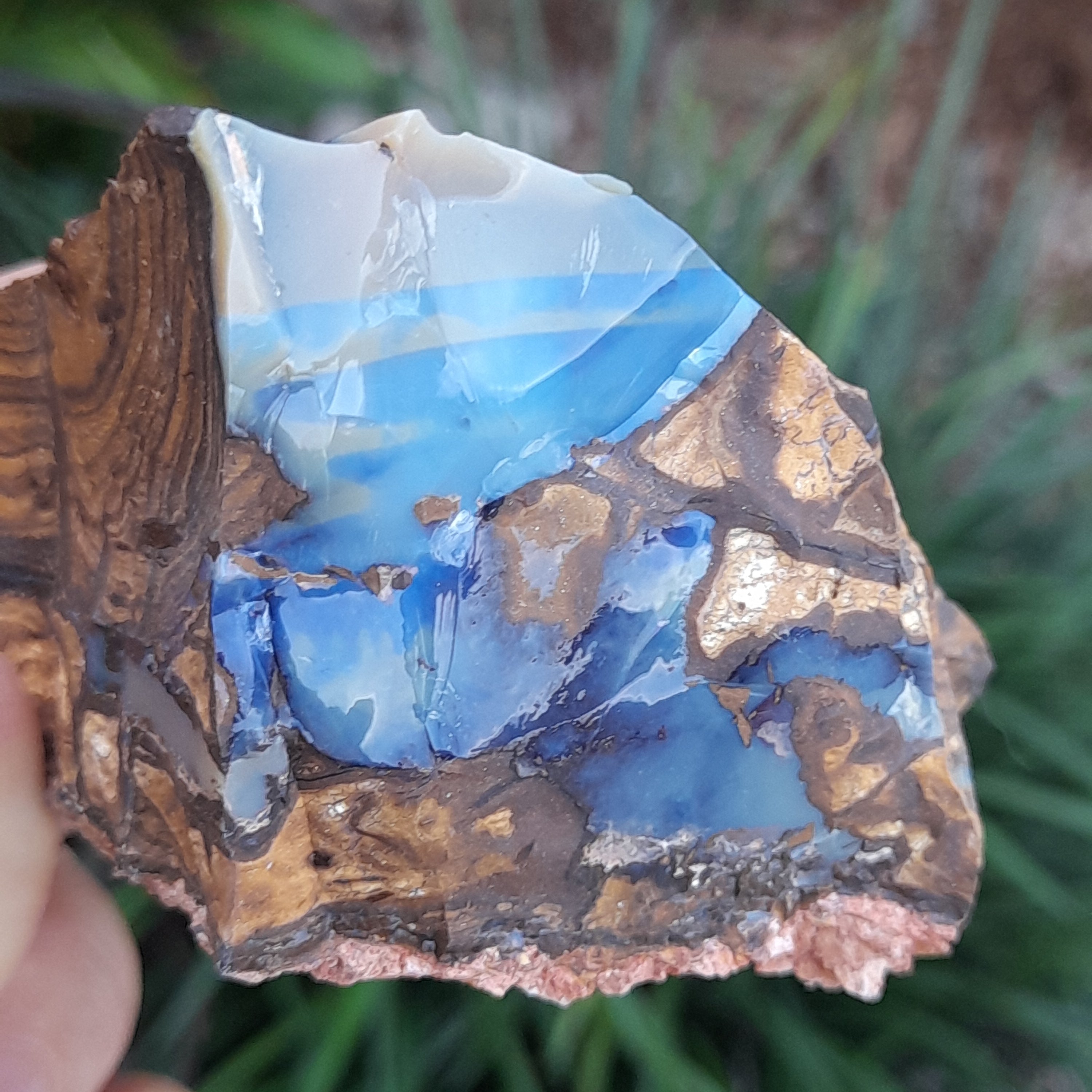 Boulder Opal