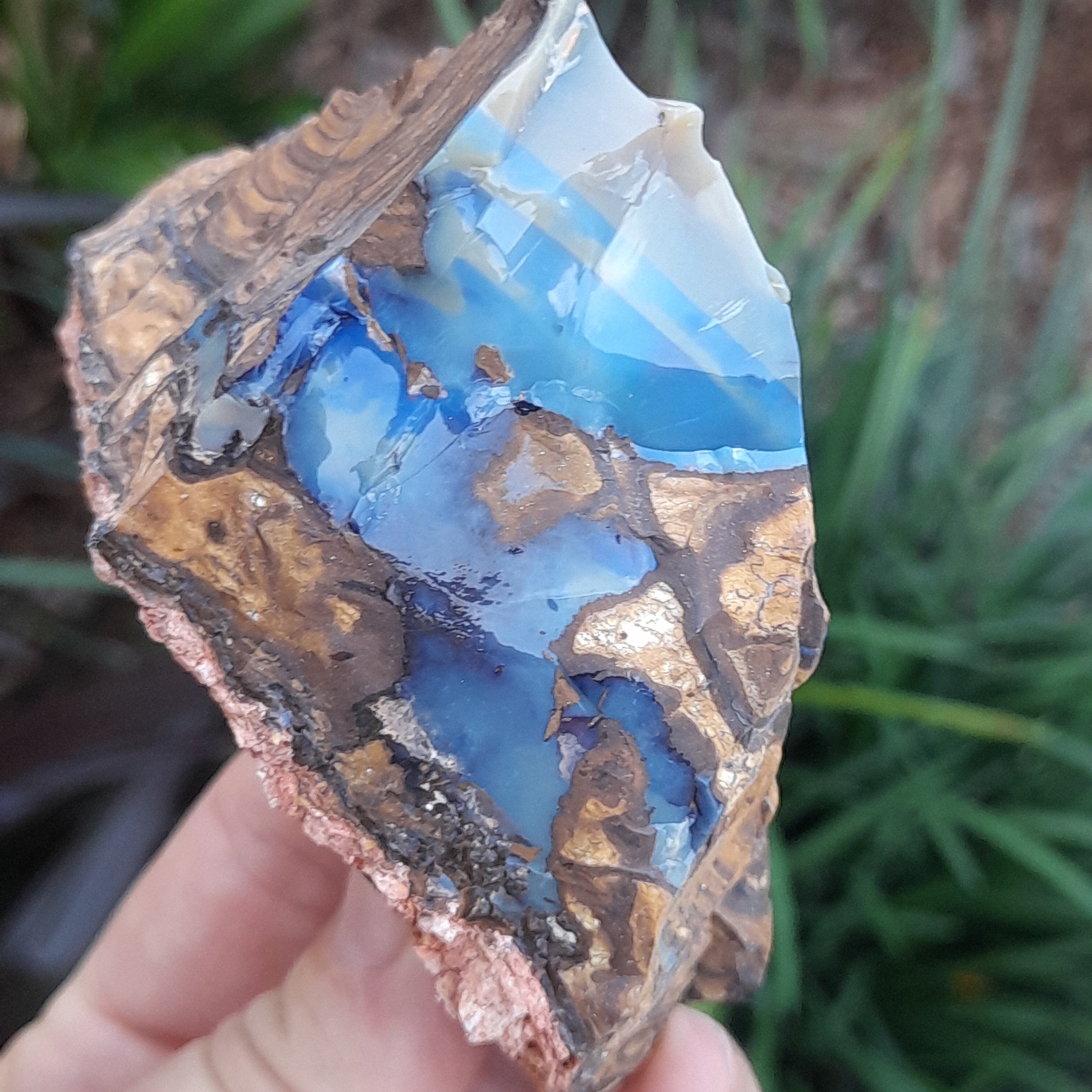 Boulder Opal