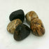 Petrified Wood ~ Tumbled stone (each)
