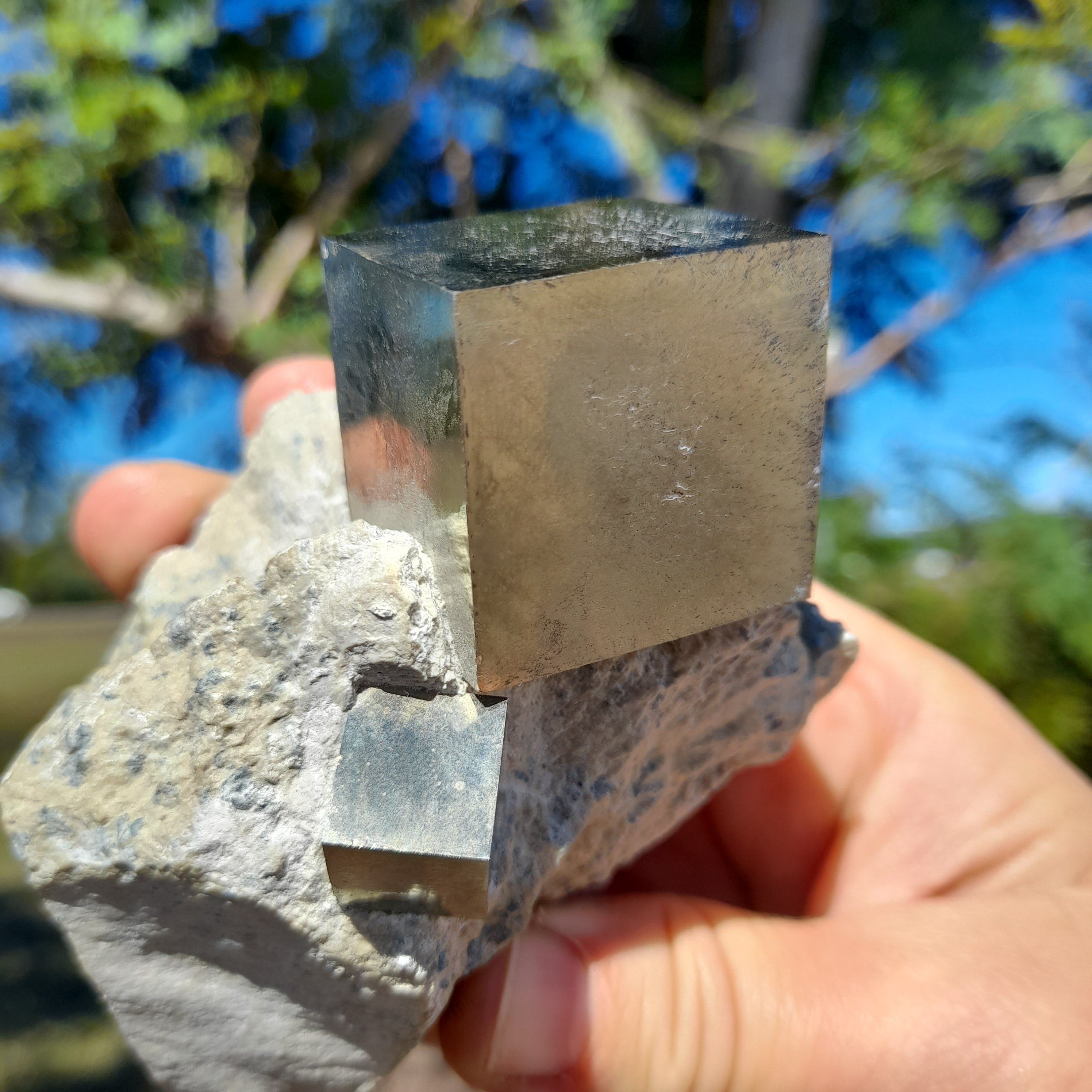 Pyrite in matrix ~ Natural Cube, Spain