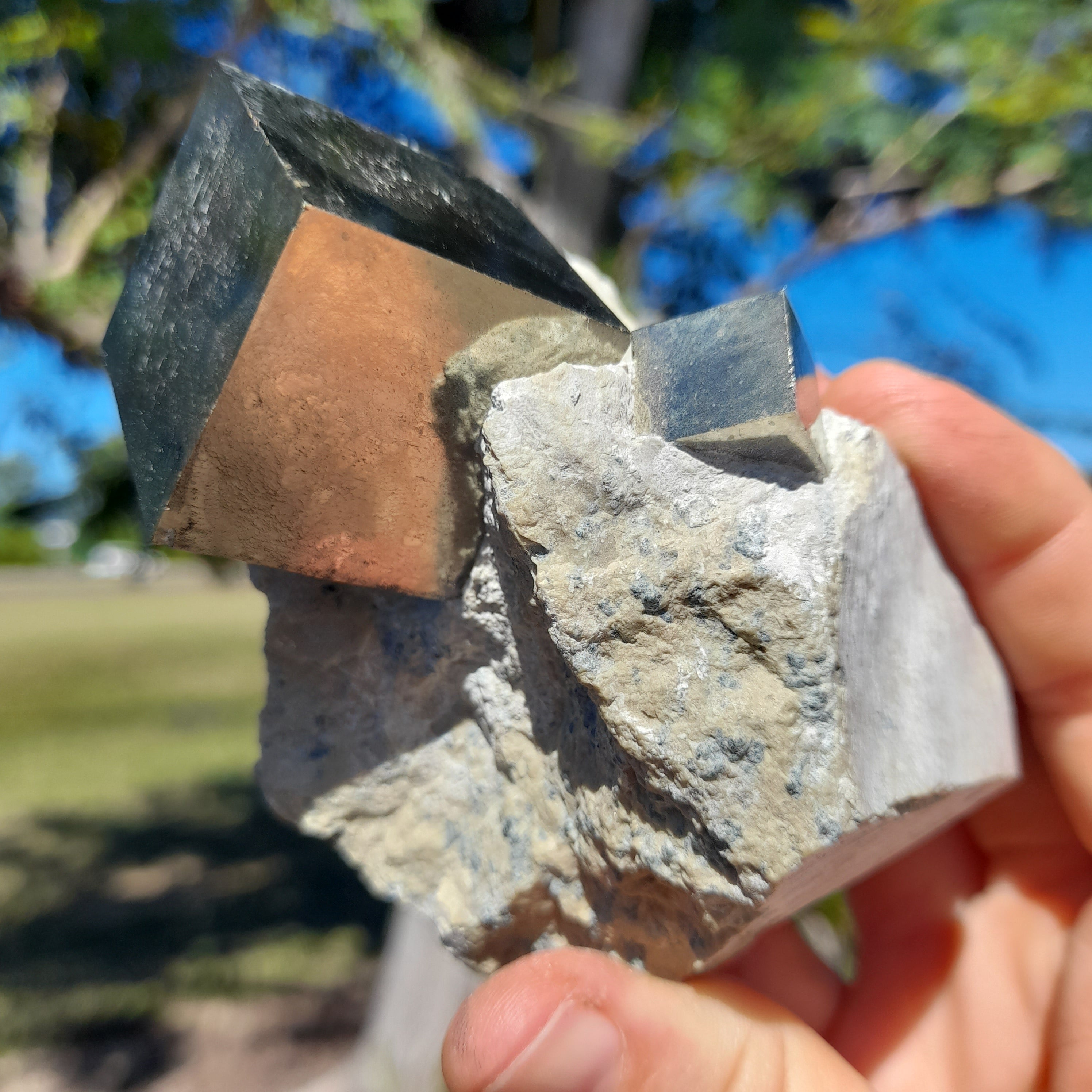 Pyrite in matrix ~ Natural Cube (each)