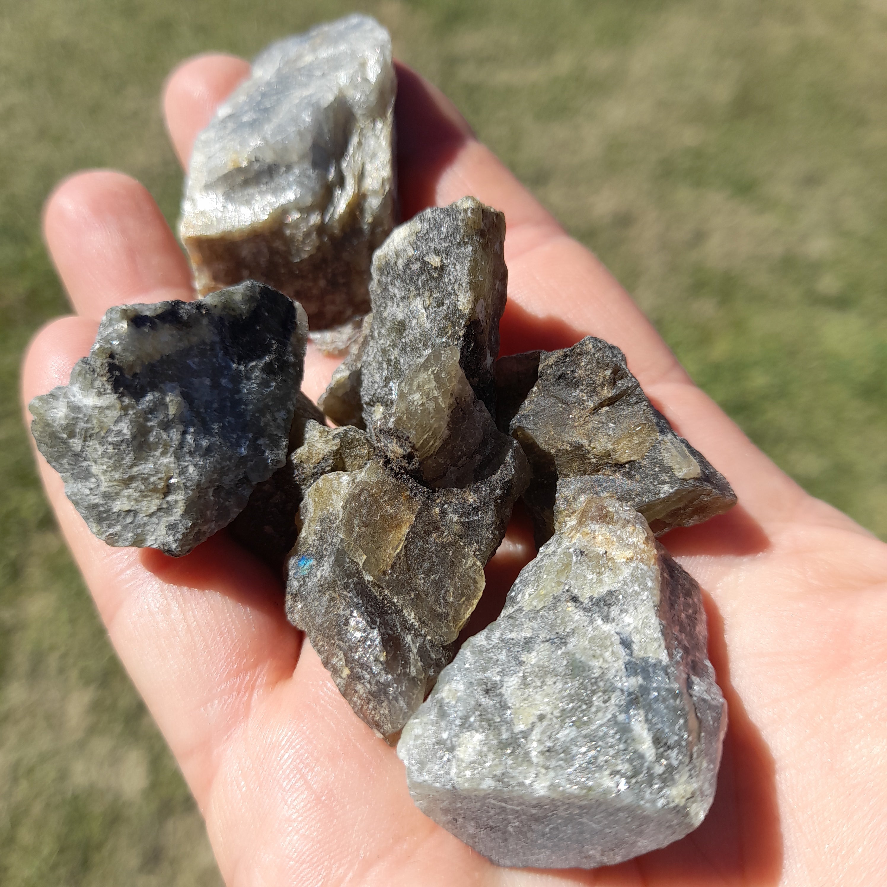Labradorite ~ Raw Stone (each) Small