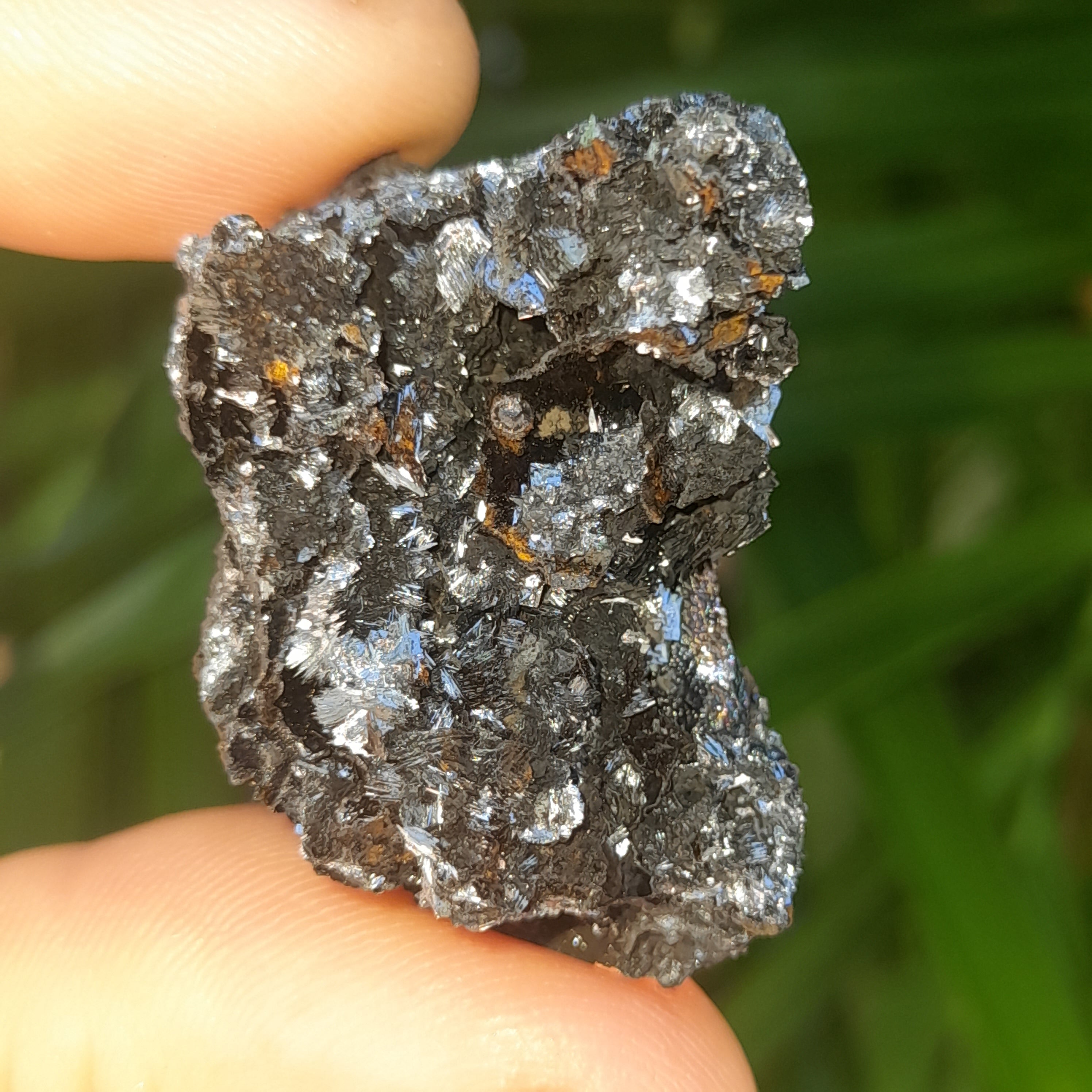 Pyrolusite – Plant Essentials
