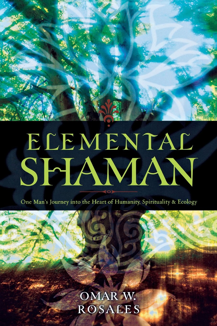 Elemental Shaman ~ Omar W. Rosales
