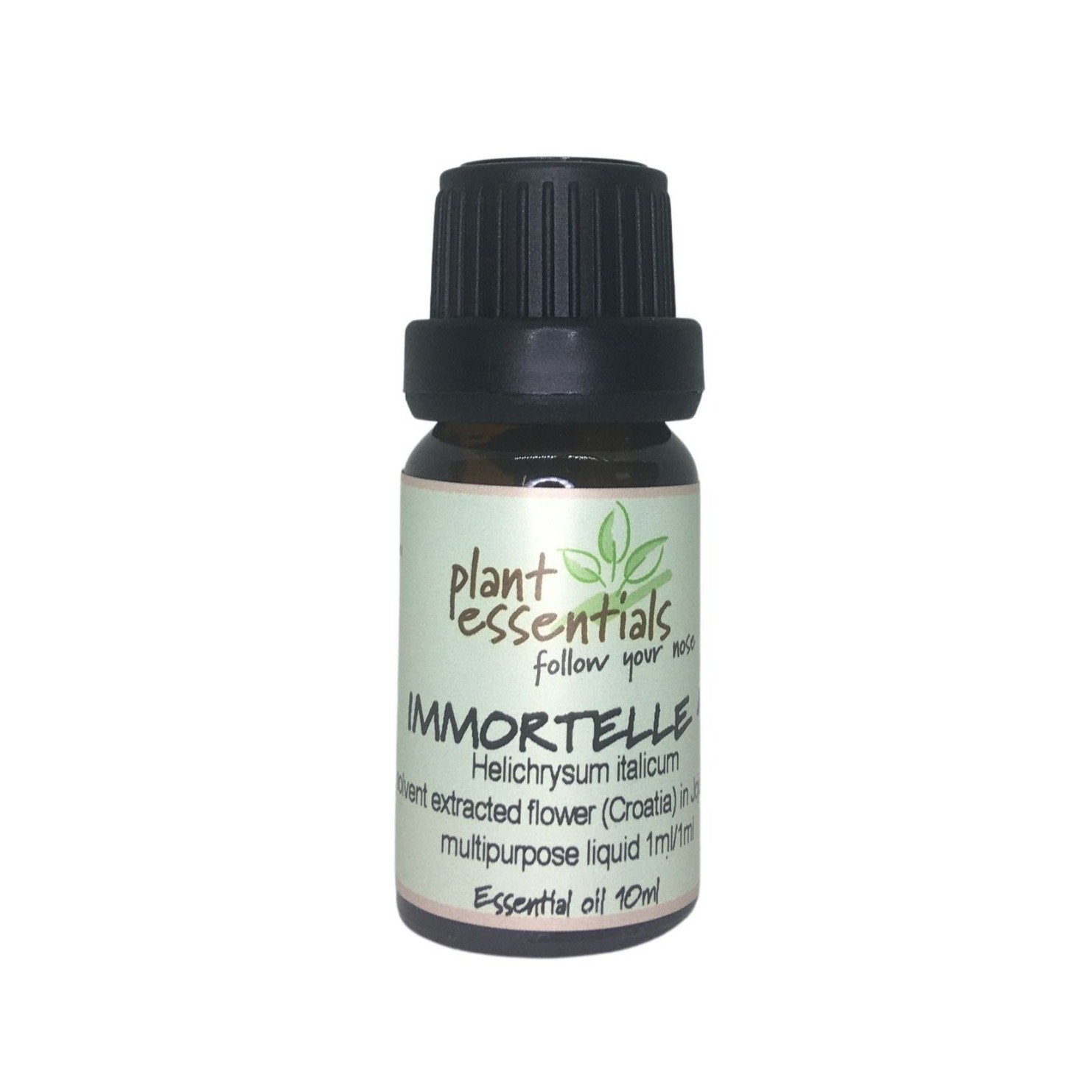 Immortelle (Helicrysium) Essential Oil, Helichrysum italicum