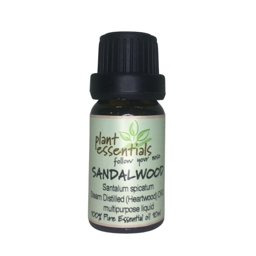 Sandalwood Essential Oil, Santalum spicata