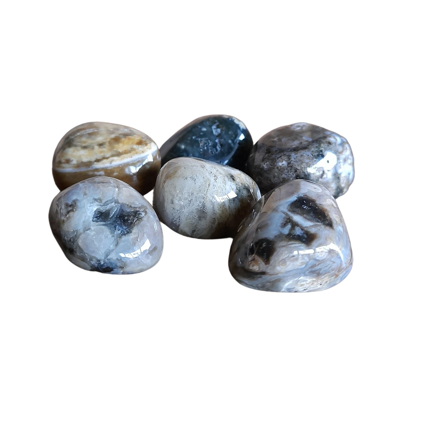 Ocean Jasper~ Tumbled stone